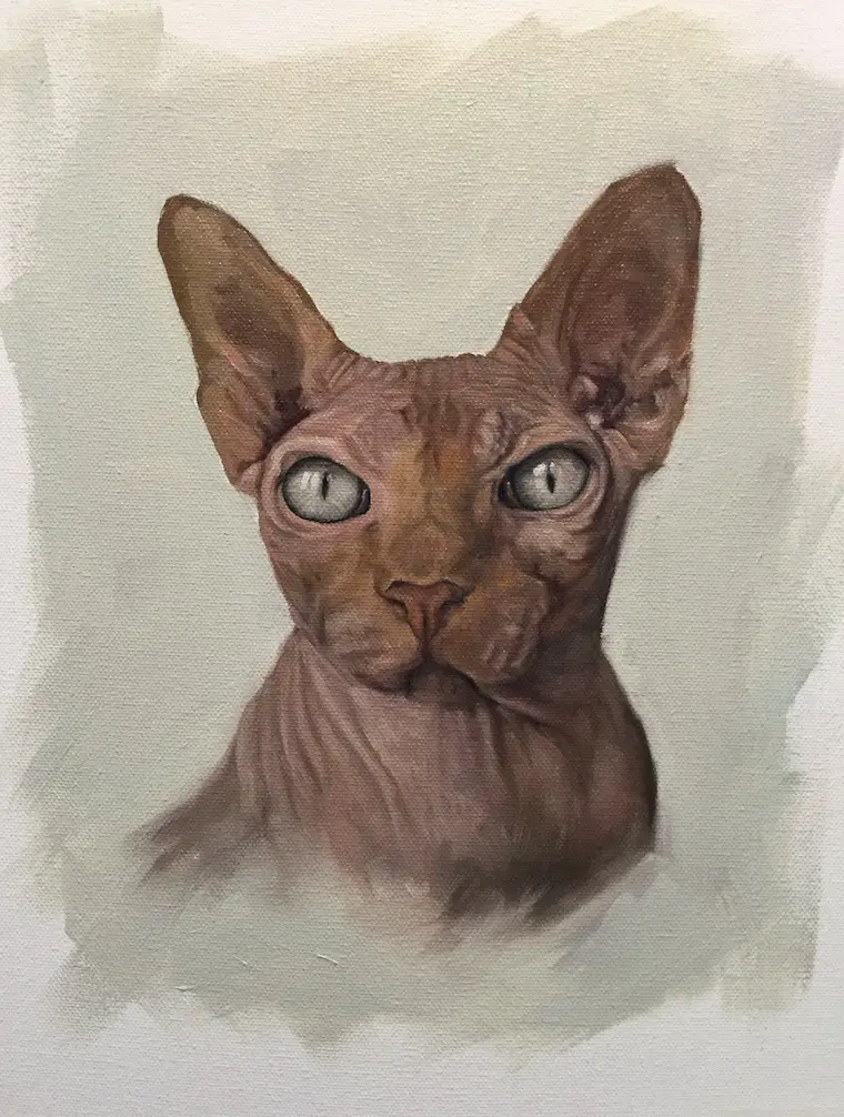 How To Paint A Sphynx cat in oil – "Harry" by Shelley Hanna