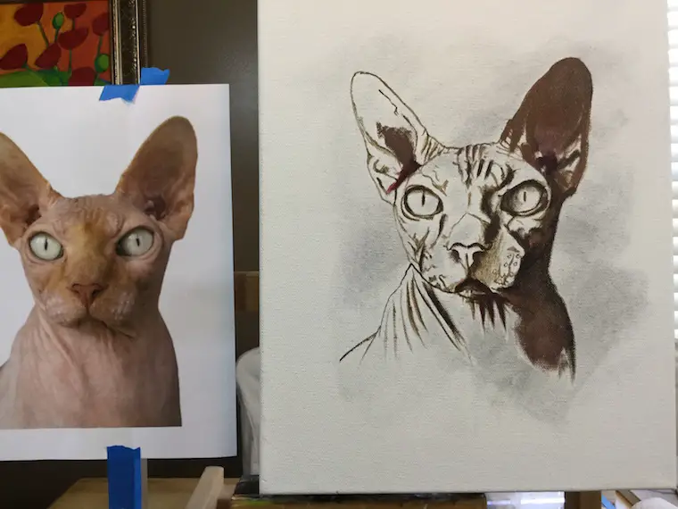 How To Paint A Hairless Sphynx Cat