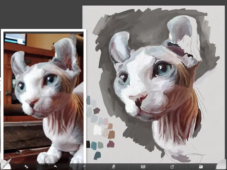 Painting a cat step by step in ArtRage featuring Remy the Gargoyle Sphynx hairless cat step 6