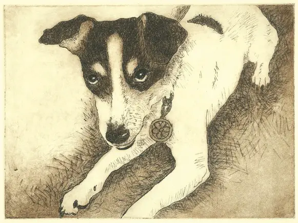 Painting black fur Penelope Intaglio print dog drawing rat terrier