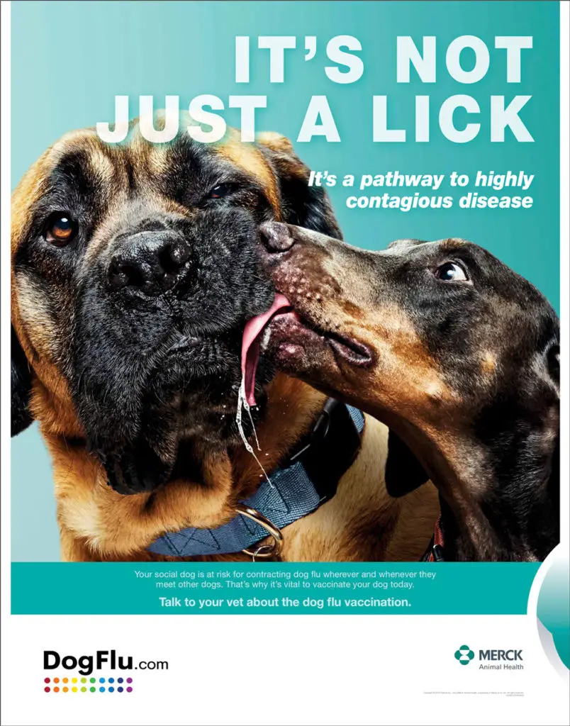 Greatest Creators | Dog Flu poster #1 Nobivac vaccine for dogs with the flu by Merck Animal Health