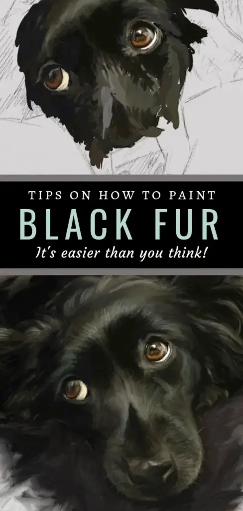 8 Tips For Painting Black Fur Traditional Digital