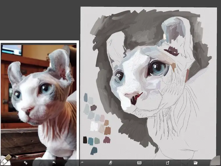 Remy the Gargoyle Sphynx hairless cat step 4