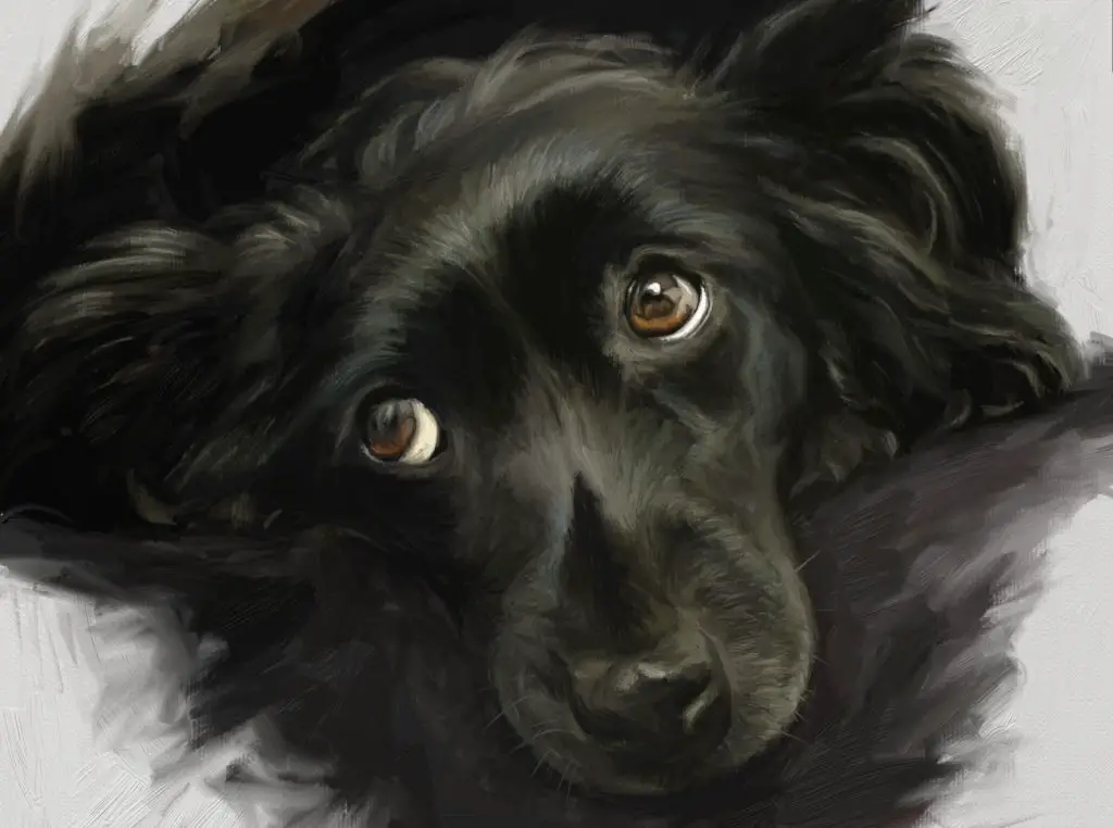 8 tips for painting black fur traditional and digital in artrage PM360 online art contest