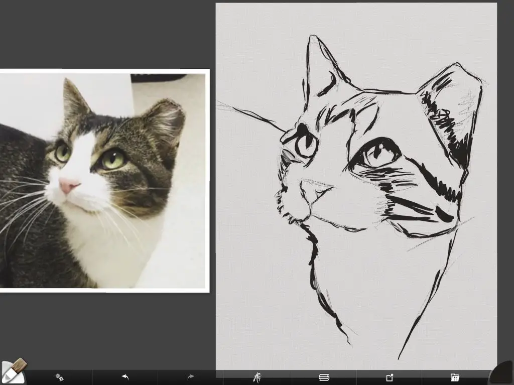 paint a cat 1 drawing dark areas