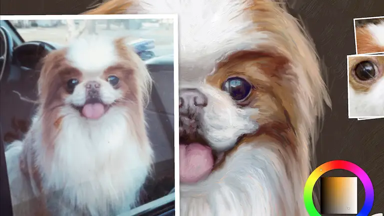 Step 11 painting a japanese chin