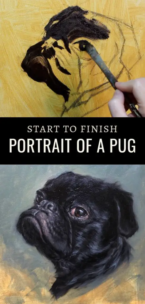 The real pug pin 2 portrait oil painting by shelley hanna