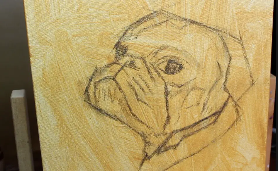 step 1 pet portrait painting a pug