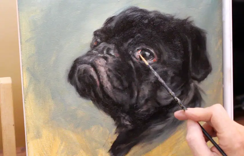Step white of eye black pug dog oil painting shelley hanna tutorial how to