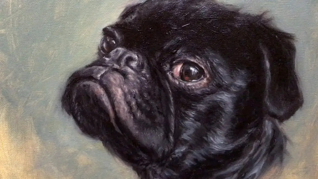 close up of dog portrait painting pet pug shelley hanna
