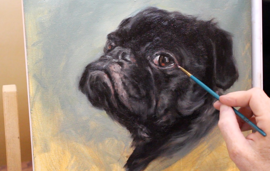 Step 8-9 black pug dog oil painting shelley hanna tutorial how to