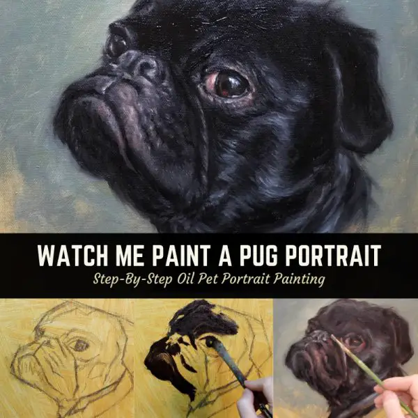 Pet Portrait Painting: Watch Me Paint A Pug - Shelley Hanna Fine Art