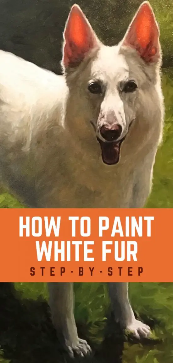How To Paint White Fur StepByStep White German Shepherd
