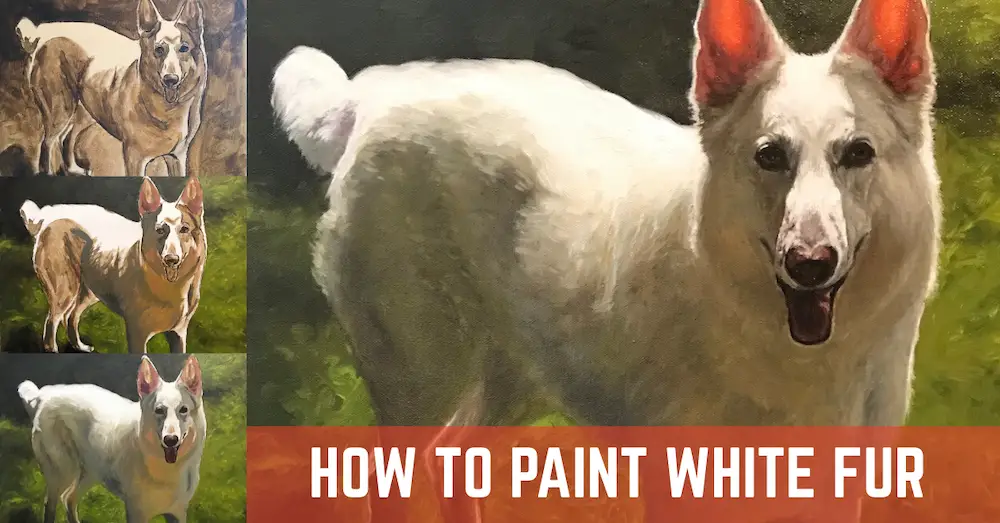 dog printed t shirts