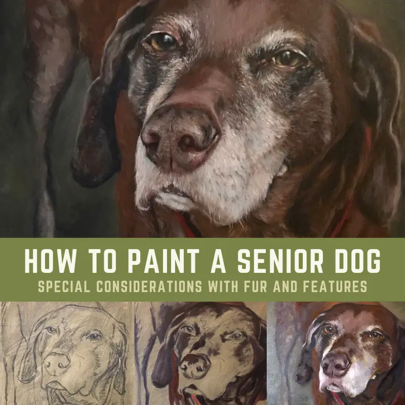 Senior Dog Portrait Title