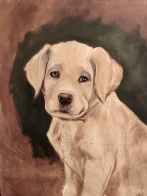 How To Paint A Puppy Portrait From A Reference Photo