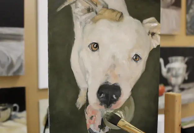 Finishing the block in stage on a pet portrait painting of a pit bull.