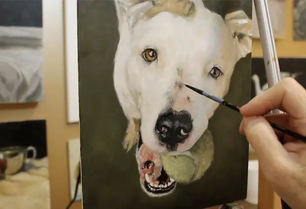 Adding darker details above the nose on a pet portrait painting of a pit bull.
