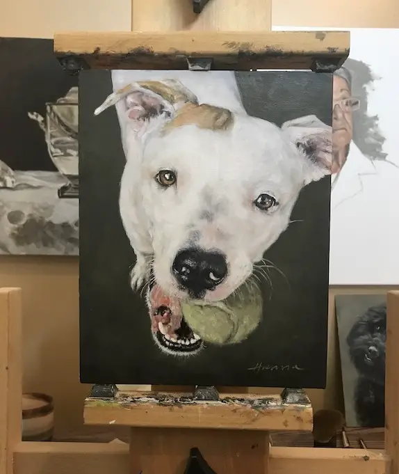 Signed finished pet portrait of pit bull with a tennis ball in it's mouth on an easel
