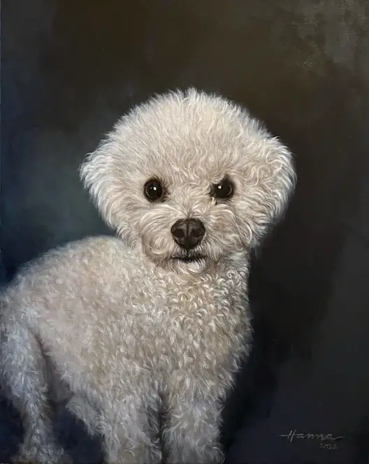 Image shows the final stage of painting of a dog with curly white fur by shelley hanna. No varnish has been applied.